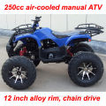 250cc air-cooled manual ATV with 12 inch alloy rim
